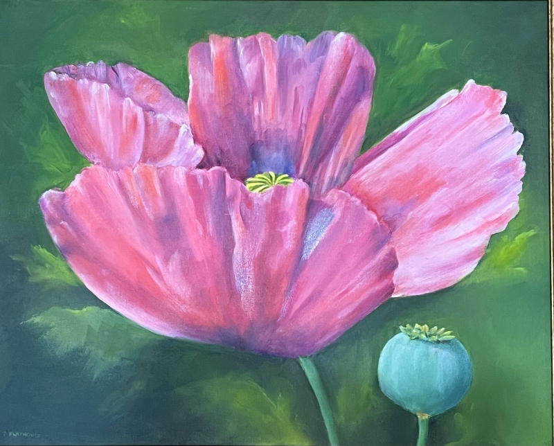 Large Poppy by artist Pat Flathouse